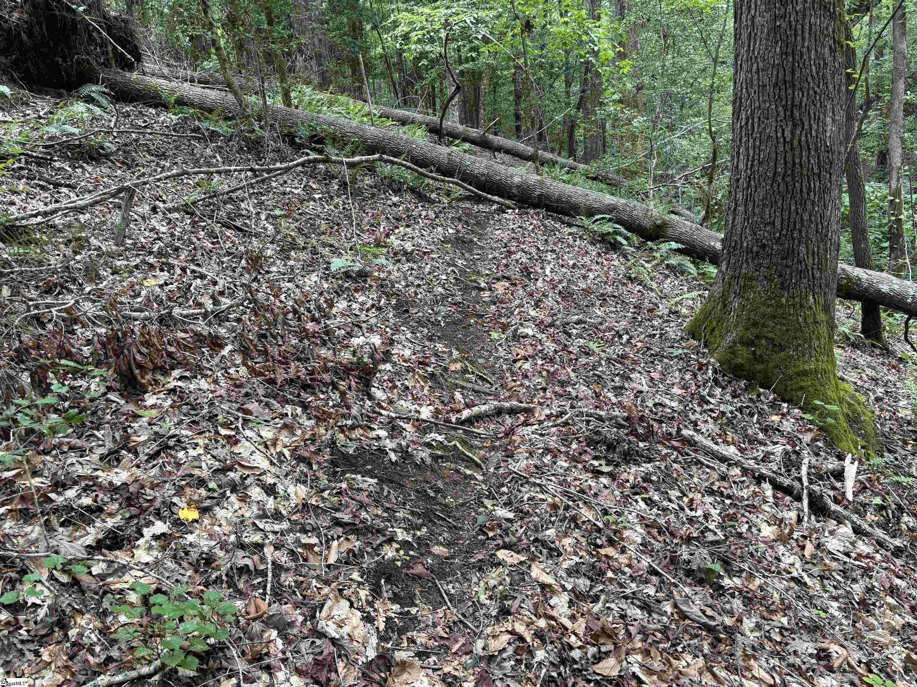 1609 Holliday Dam Road Belton, SC 29627 - Photo 33 of 50 Gallery Image 33