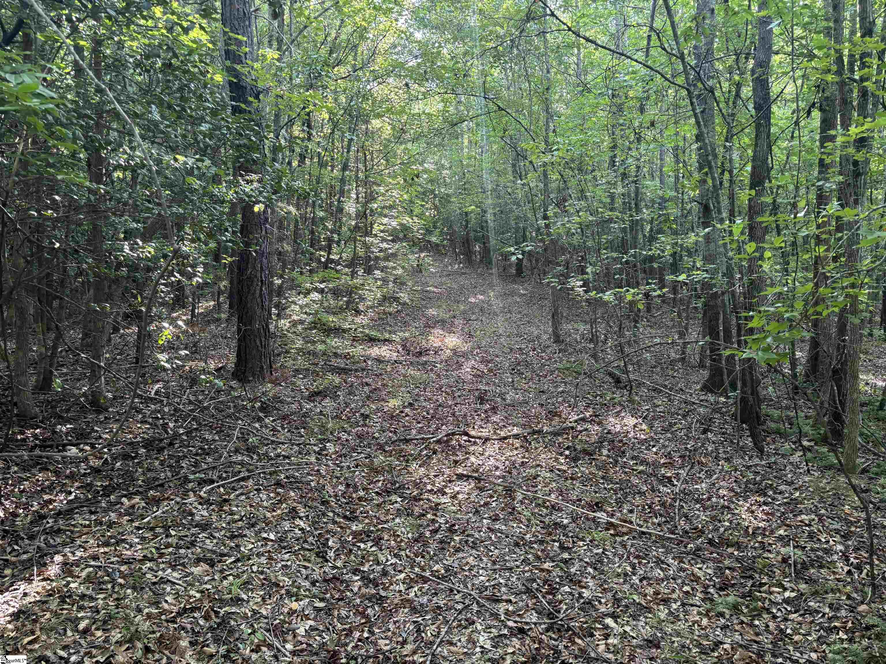 1609 Holliday Dam Road Belton, SC 29627 - Photo 34 of 50 Gallery Image 34