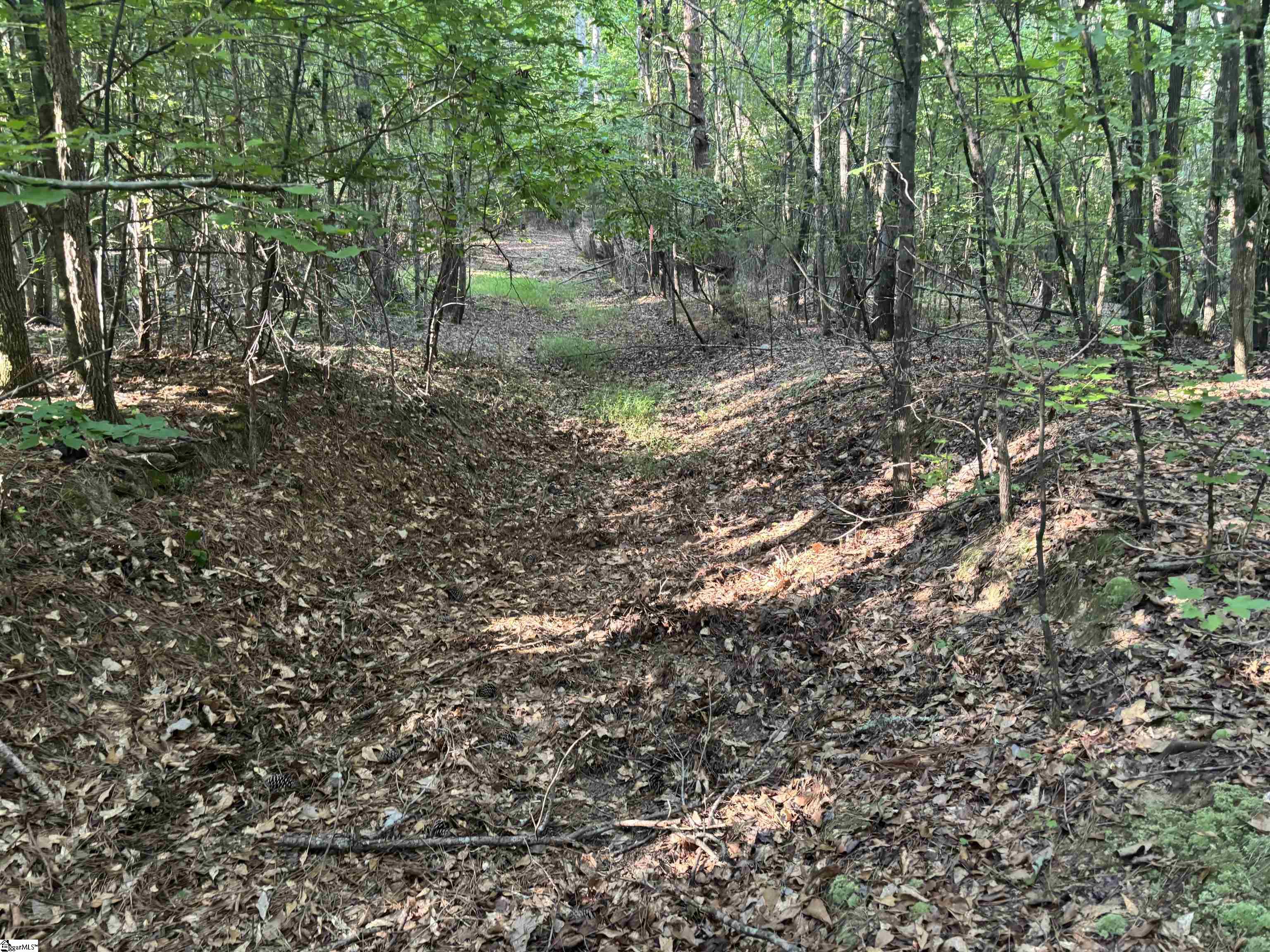 1609 Holliday Dam Road Belton, SC 29627 - Photo 36 of 50 Gallery Image 36