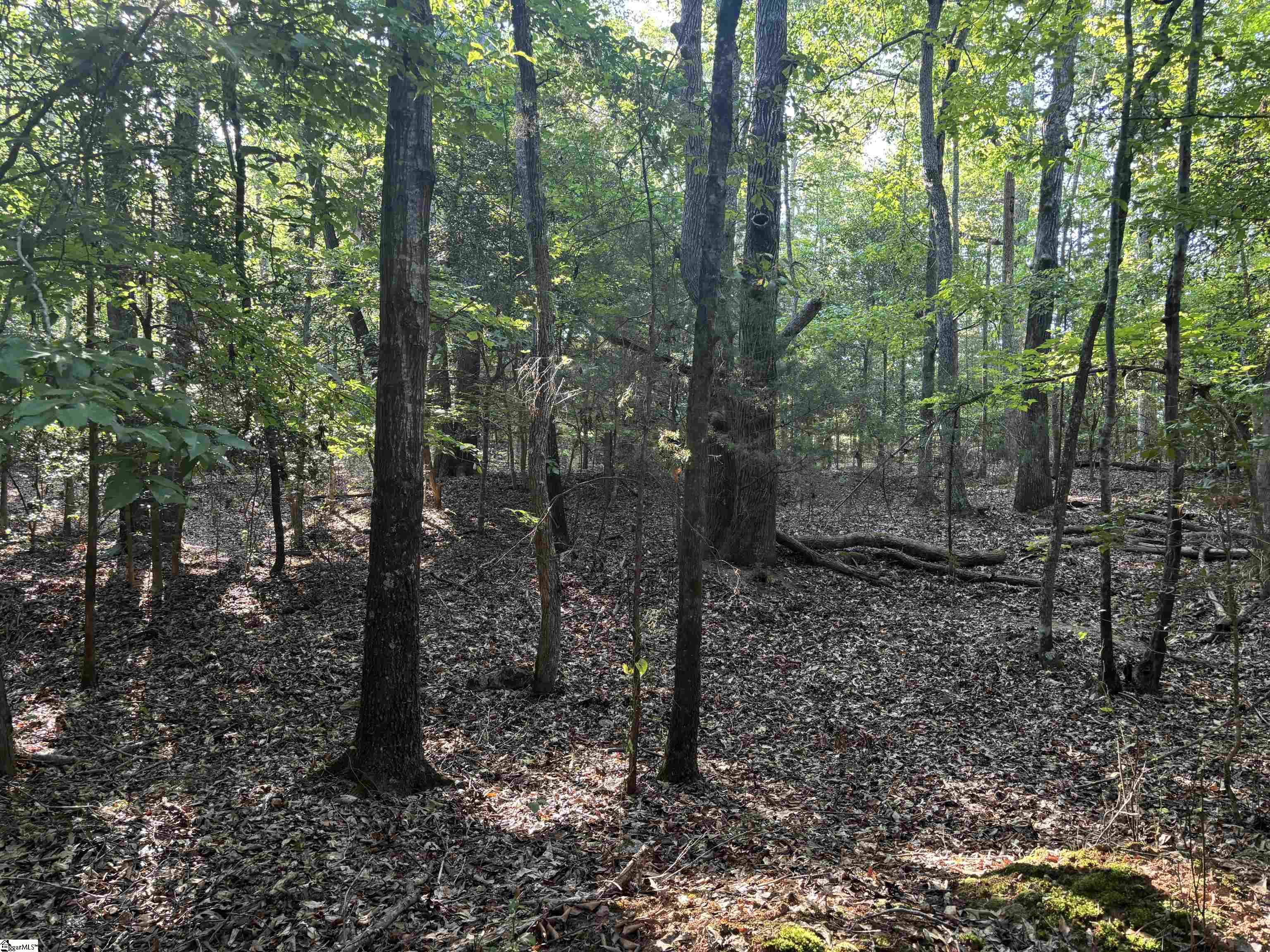 1609 Holliday Dam Road Belton, SC 29627 - Photo 38 of 50 Gallery Image 38