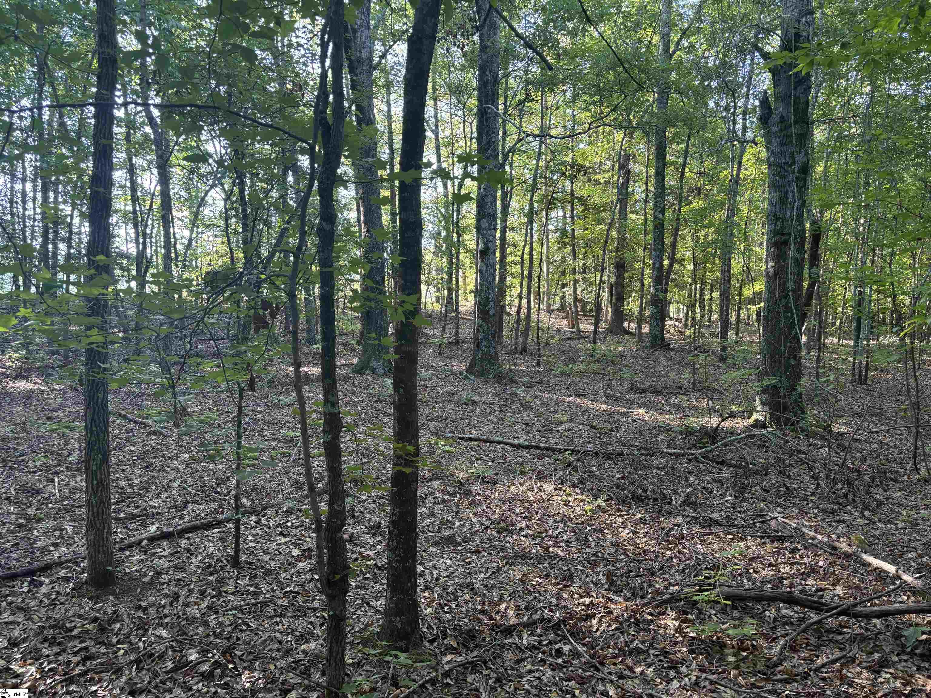 1609 Holliday Dam Road Belton, SC 29627 - Photo 39 of 50 Gallery Image 39