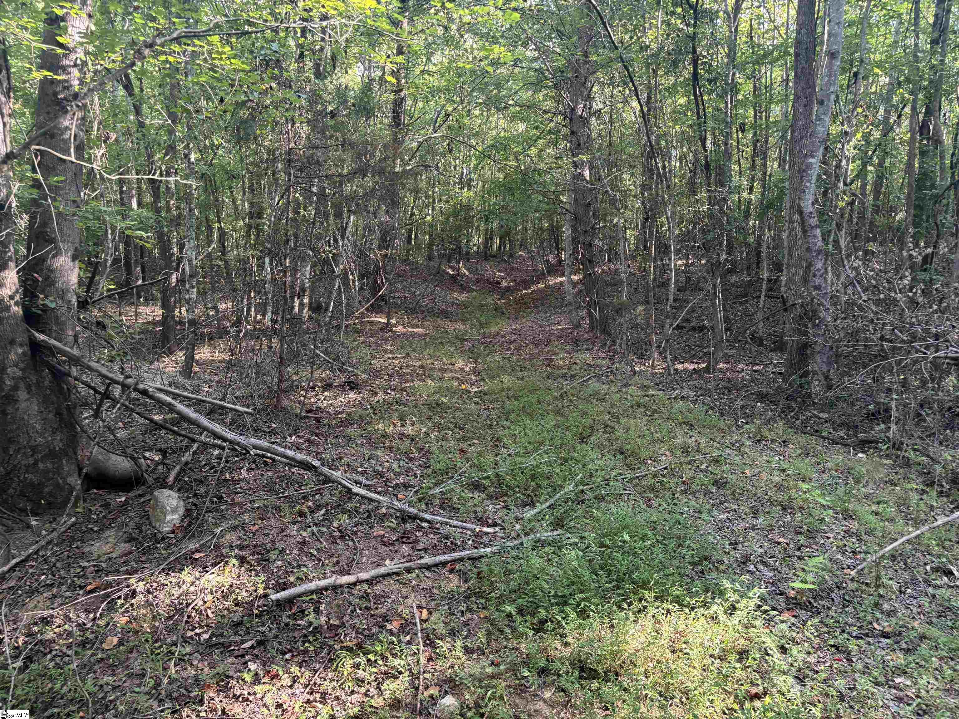1609 Holliday Dam Road Belton, SC 29627 - Photo 40 of 50 Gallery Image 40