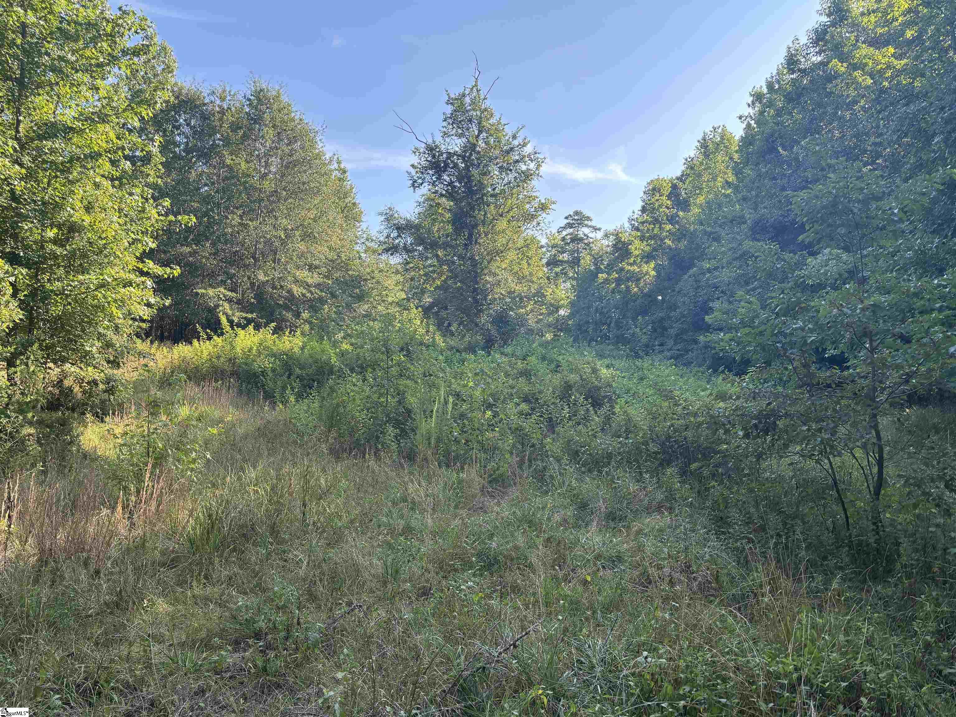 1609 Holliday Dam Road Belton, SC 29627 - Photo 42 of 50 Gallery Image 42