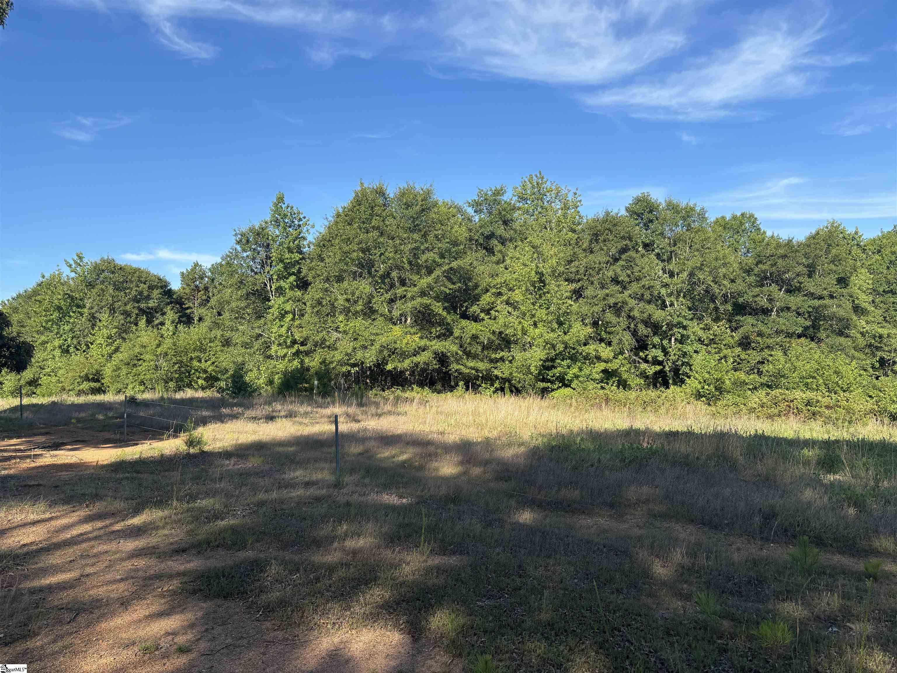 1609 Holliday Dam Road Belton, SC 29627 - Photo 46 of 50 Gallery Image 46