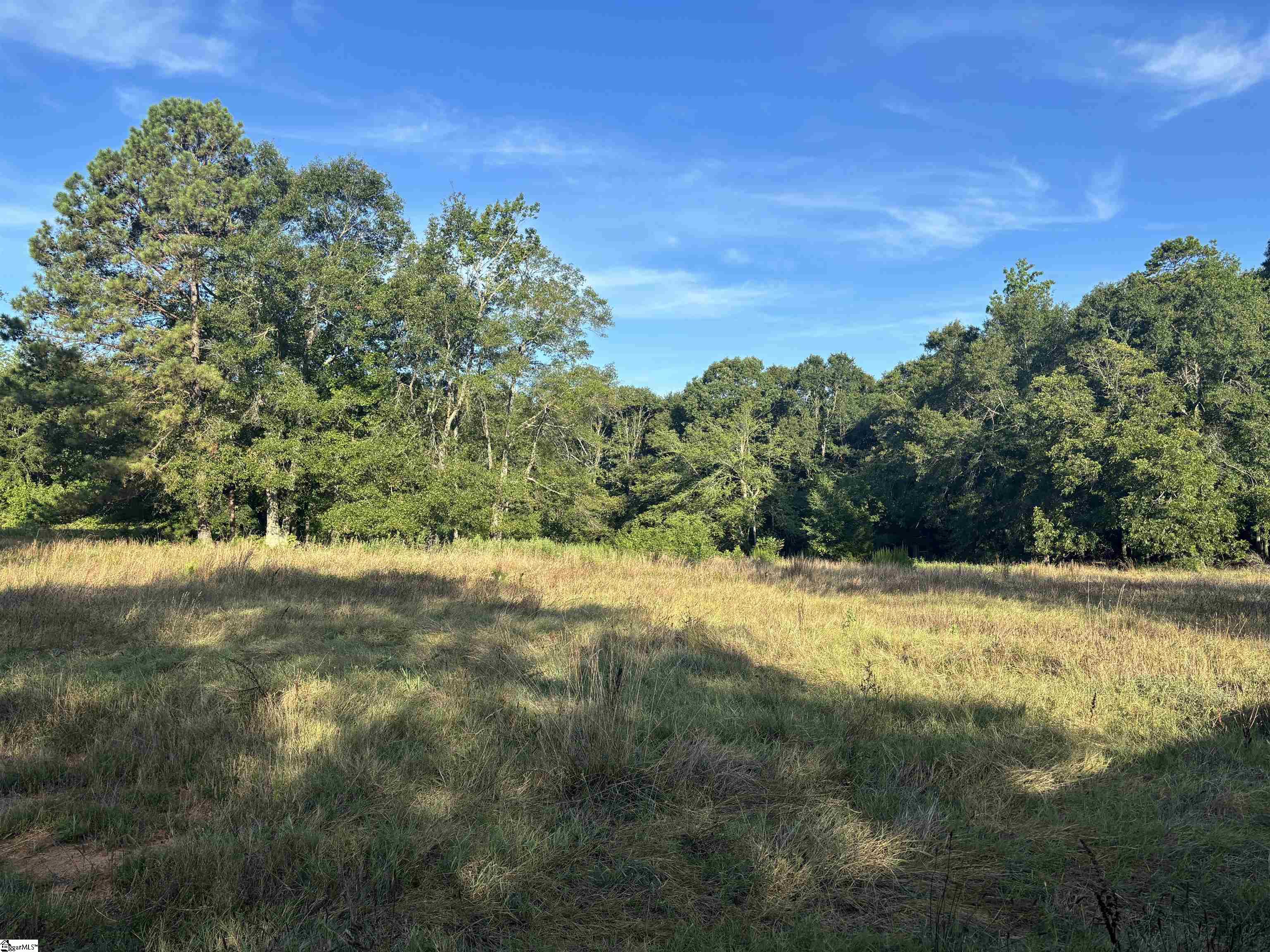 1609 Holliday Dam Road Belton, SC 29627 - Photo 10 of 50 Gallery Image 10