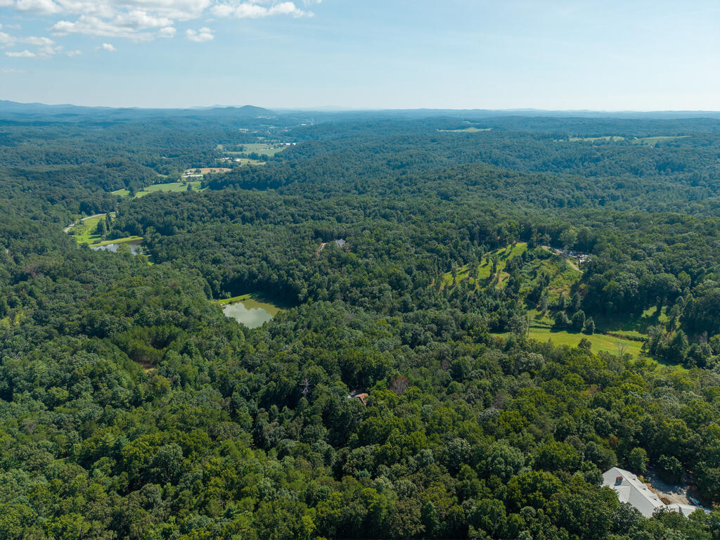 358 North Ridge Drive Ellijay, GA 30540 - Photo 53 of 57 Gallery Image 53