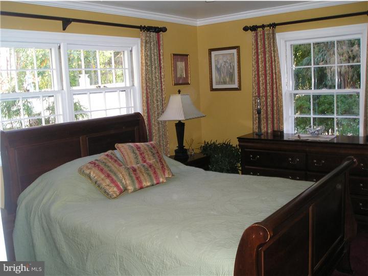 3407 Old Windy Bush Road New Hope, PA 18938 - Photo 11 of 25 Master Bedroom