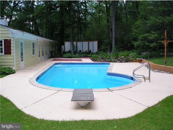 3407 Old Windy Bush Road New Hope, PA 18938 - Photo 18 of 25 Pool