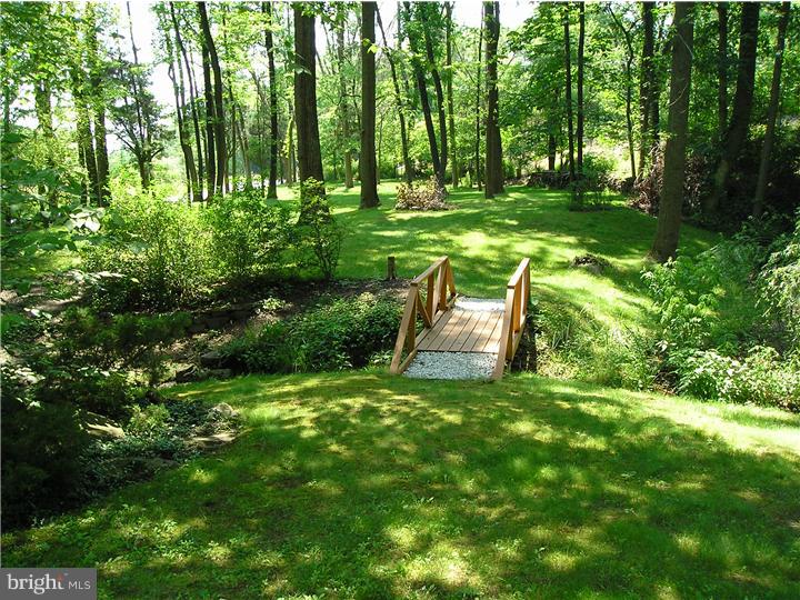3407 Old Windy Bush Road New Hope, PA 18938 - Photo 20 of 25 Side Yard