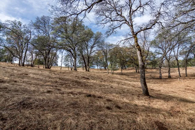 a view of empty space with trees