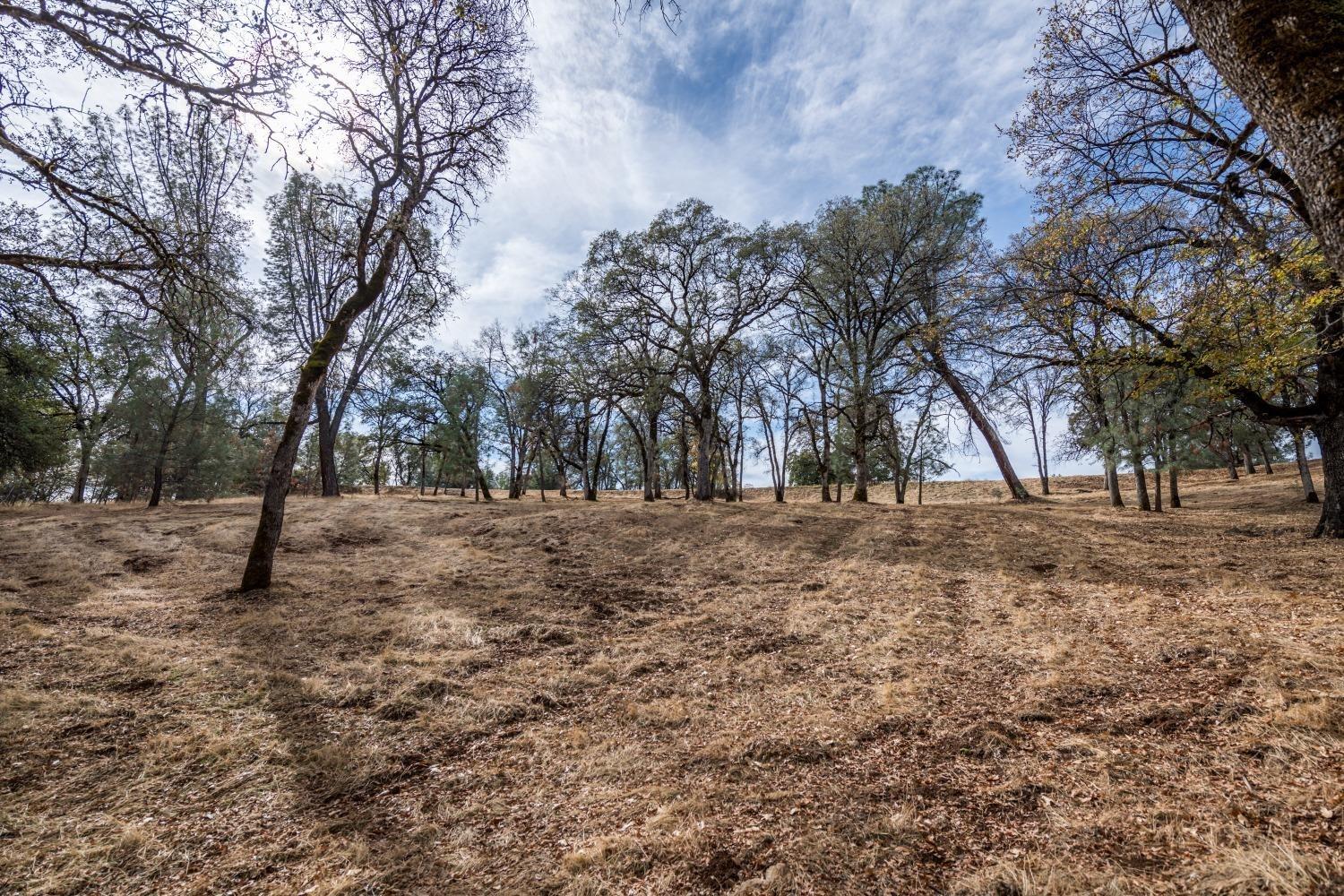 23045 Moon Ridge Court Auburn, CA 95602 - Photo 13 of 19 a view of outdoor space with trees