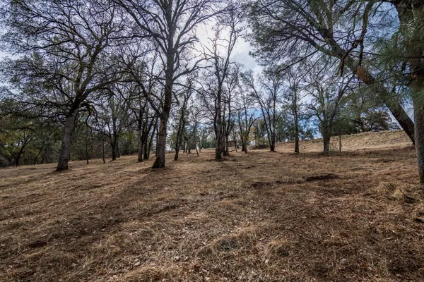 a view of outdoor space with trees