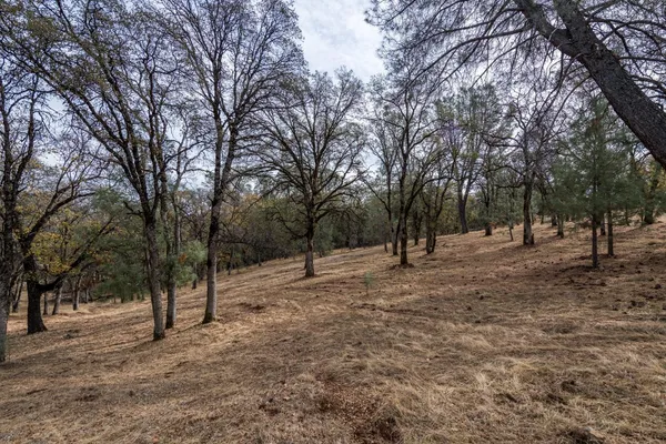 a view of outdoor space with trees