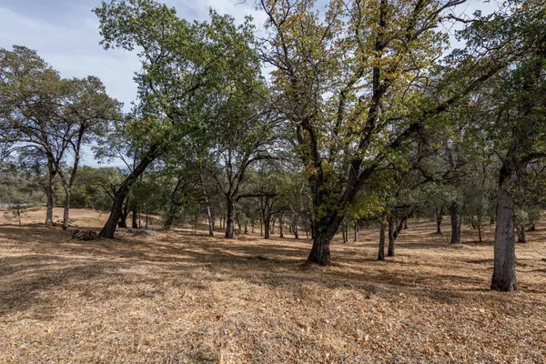 a view of outdoor space with trees