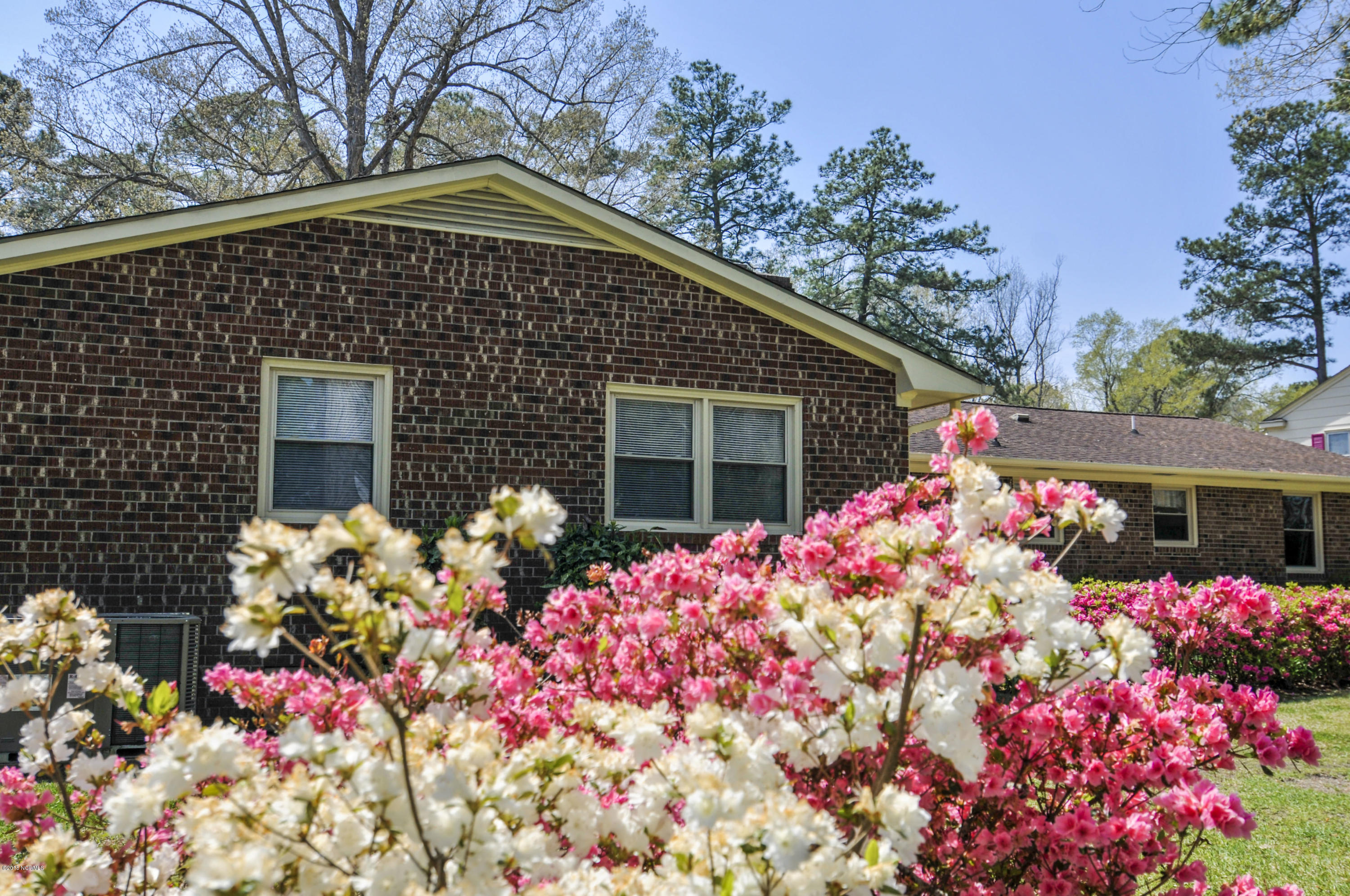 416 Lawson Road Washington, NC 27889 - Photo 44 of 60 416LawsonRd0006700001