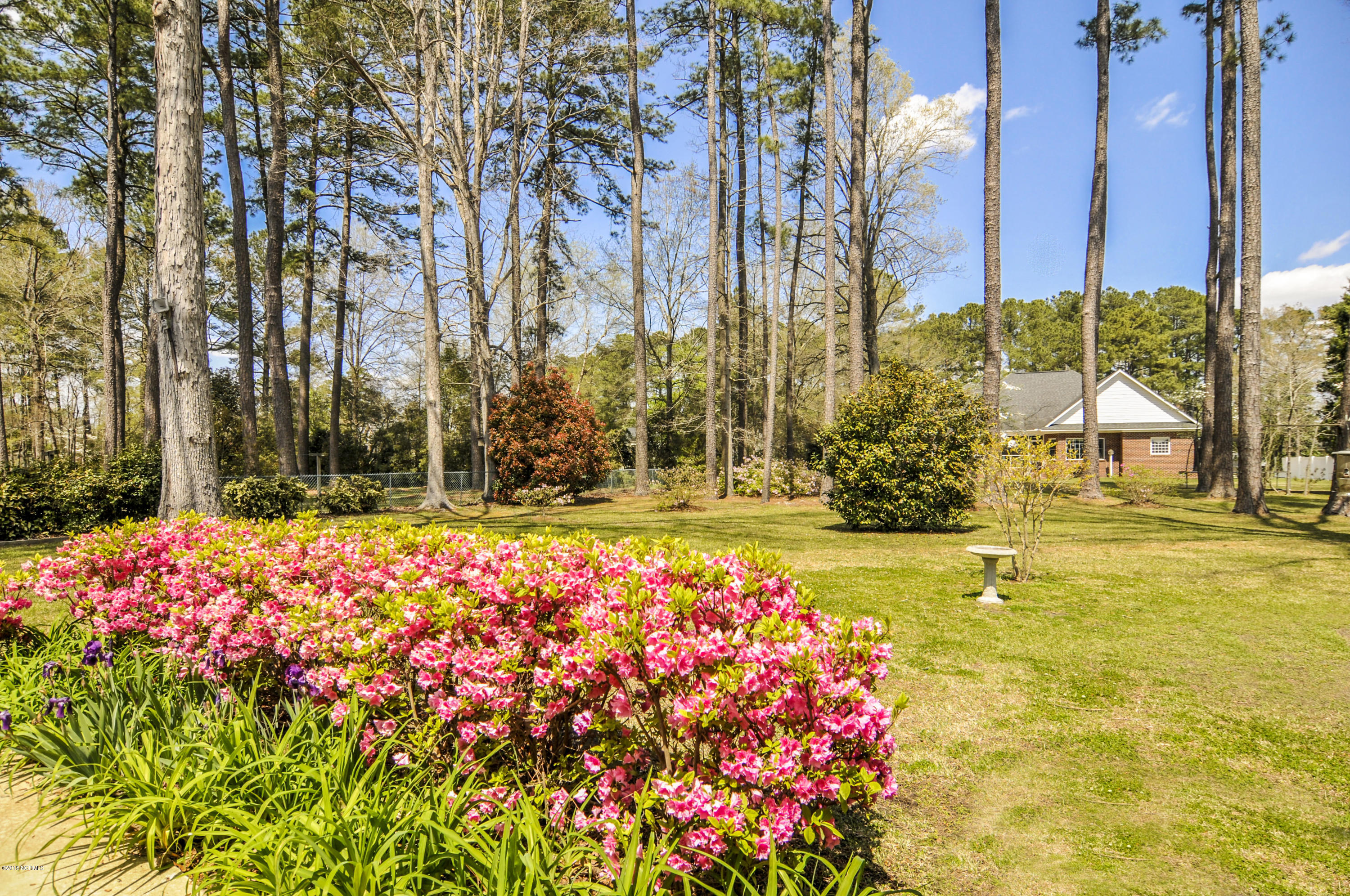 416 Lawson Road Washington, NC 27889 - Photo 50 of 60 416LawsonRd0005100001