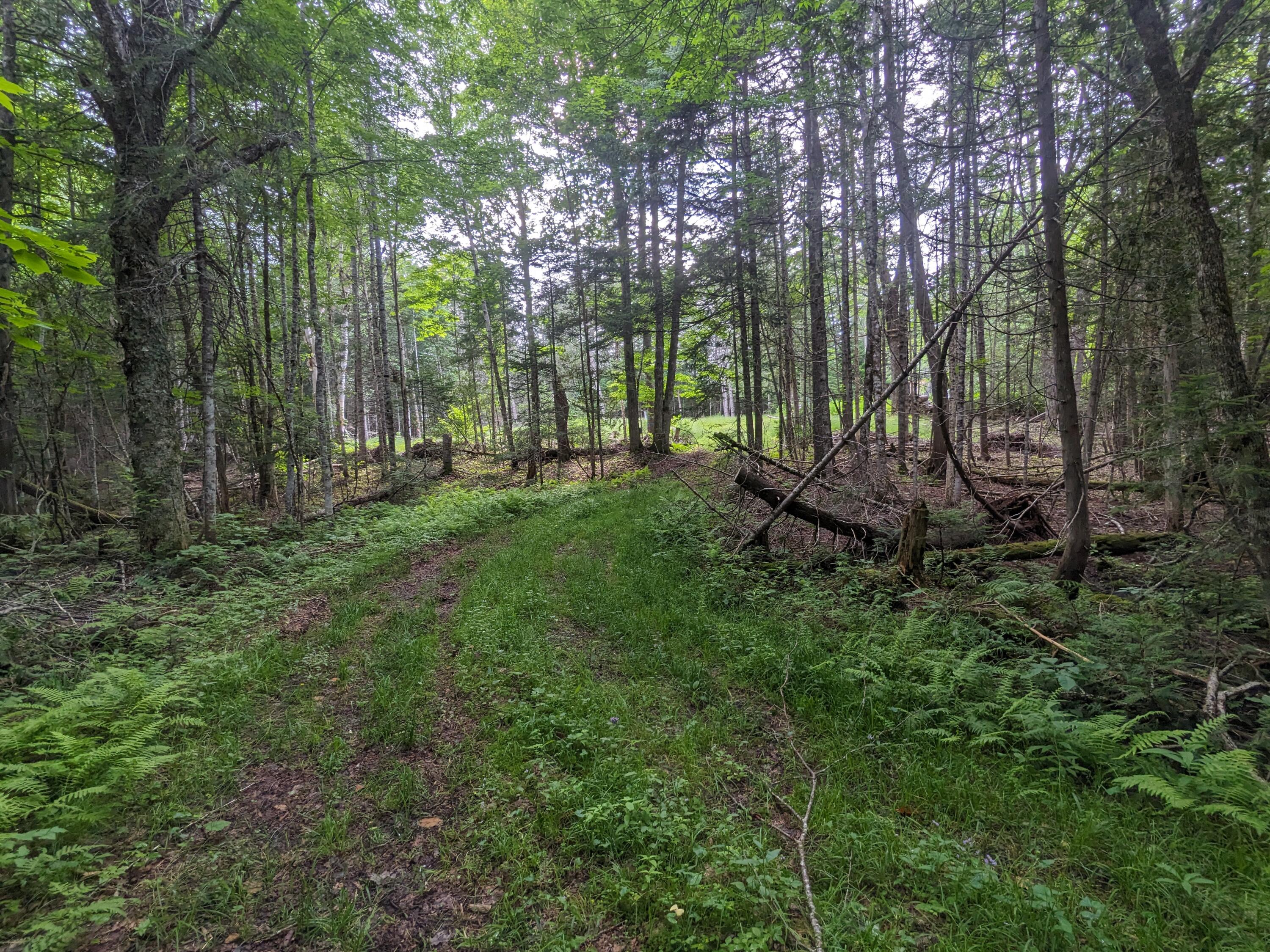 2 Greenville Road Shirley Mills, ME 04485 - Photo 15 of 40 PXL_20230715_212521357