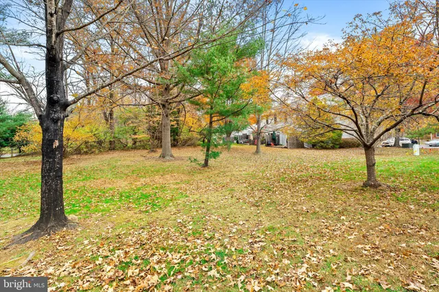 a view of a yard with a tree