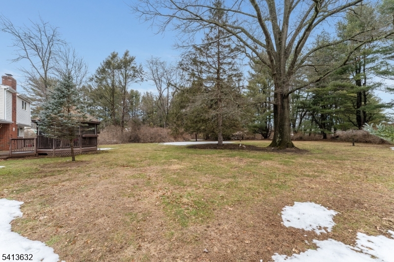 14 Ramsey Road Lebanon, NJ 08833 - Photo 36 of 47 a view of outdoor space
