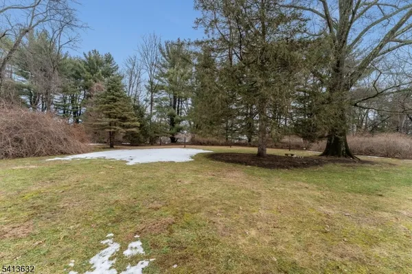 a view of outdoor space and yard