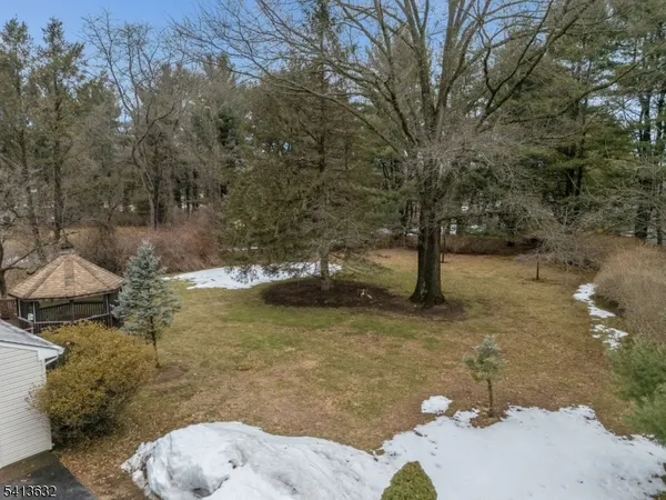 a view of a yard with large trees
