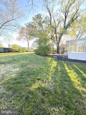 a view of a yard with a tree