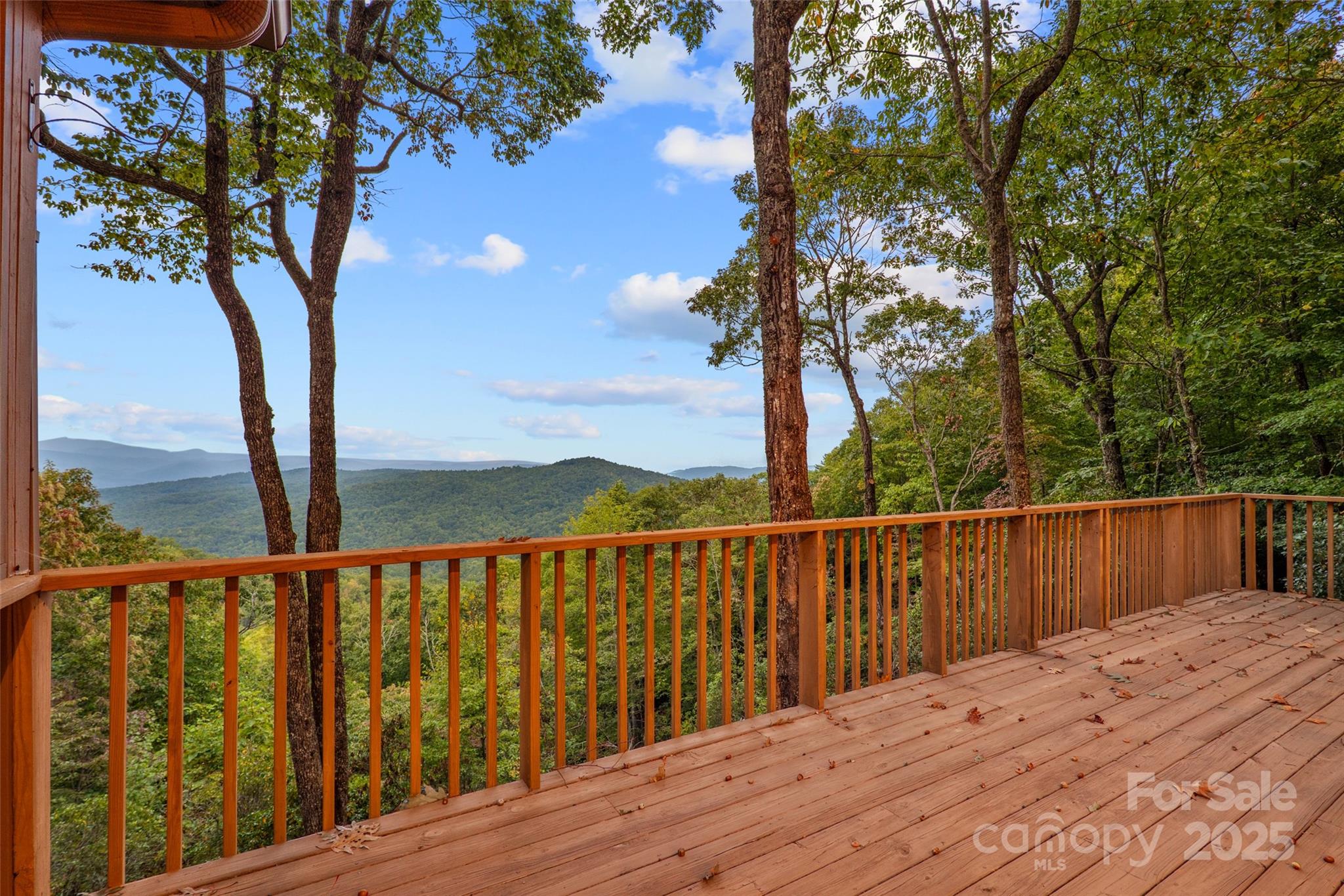 243 Ridgeline Drive Pisgah Forest, NC 28768 - Photo 12 of 48