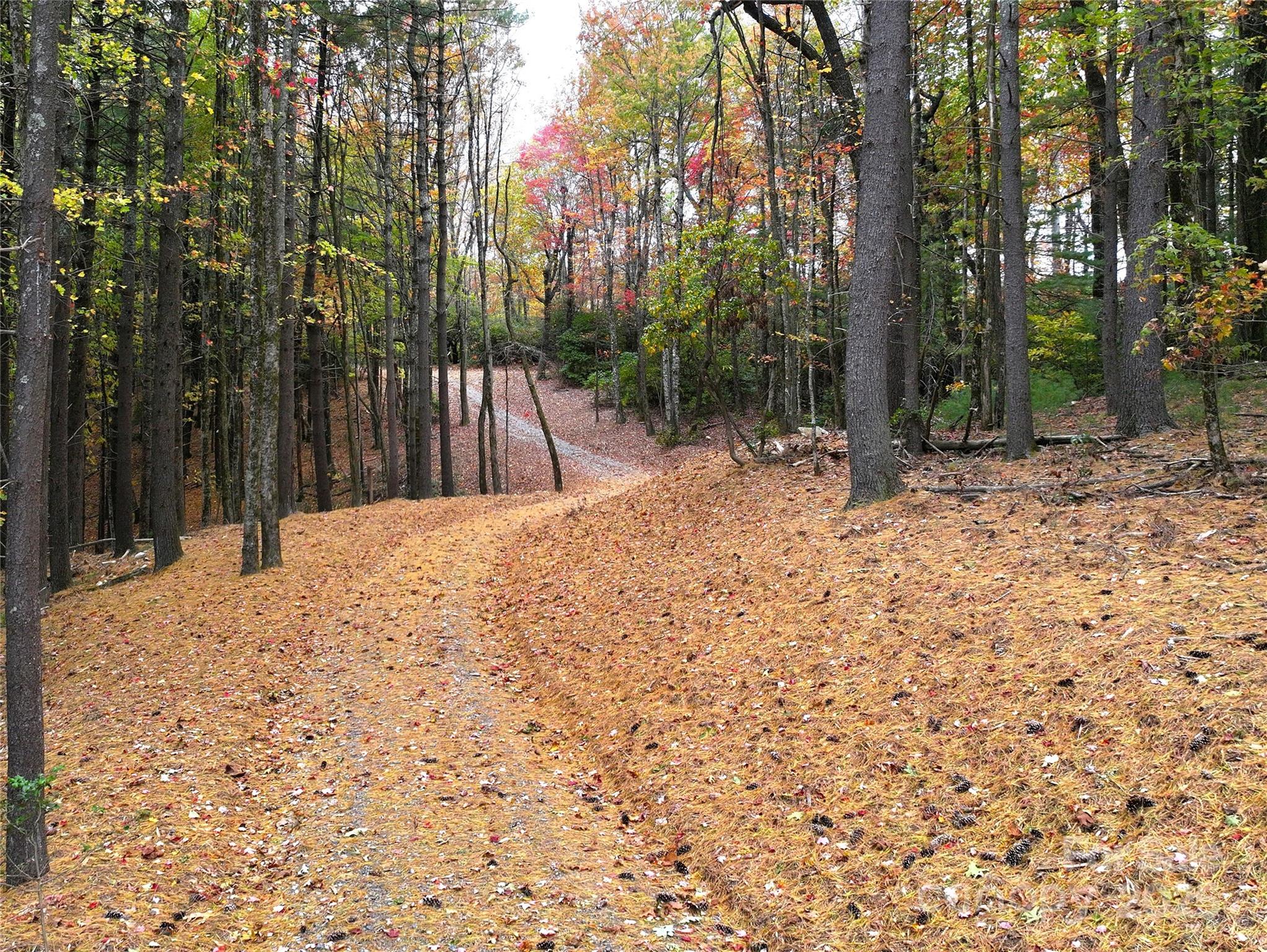 243 Ridgeline Drive Pisgah Forest, NC 28768 - Photo 18 of 48