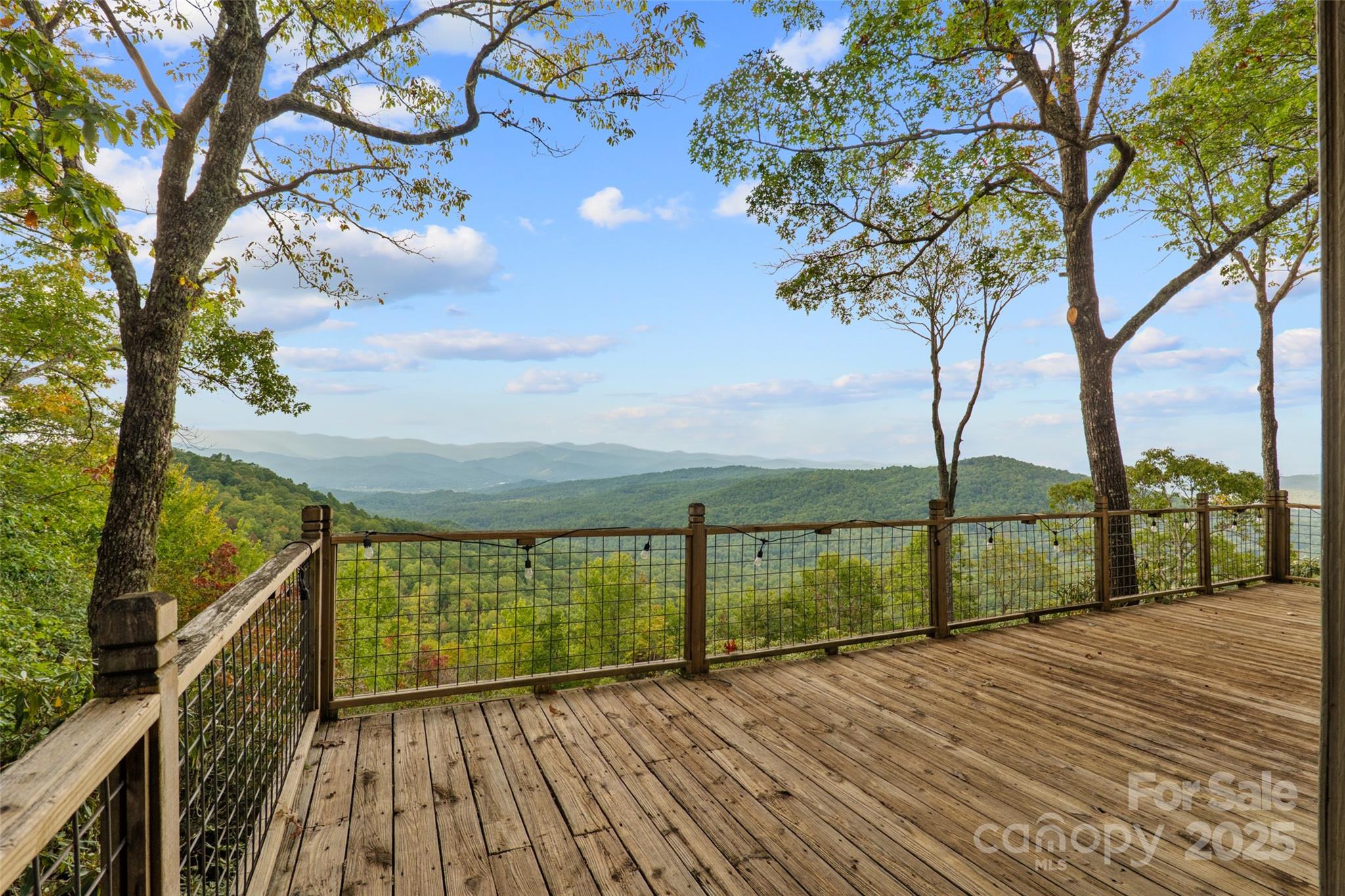 243 Ridgeline Drive Pisgah Forest, NC 28768 - Photo 25 of 48
