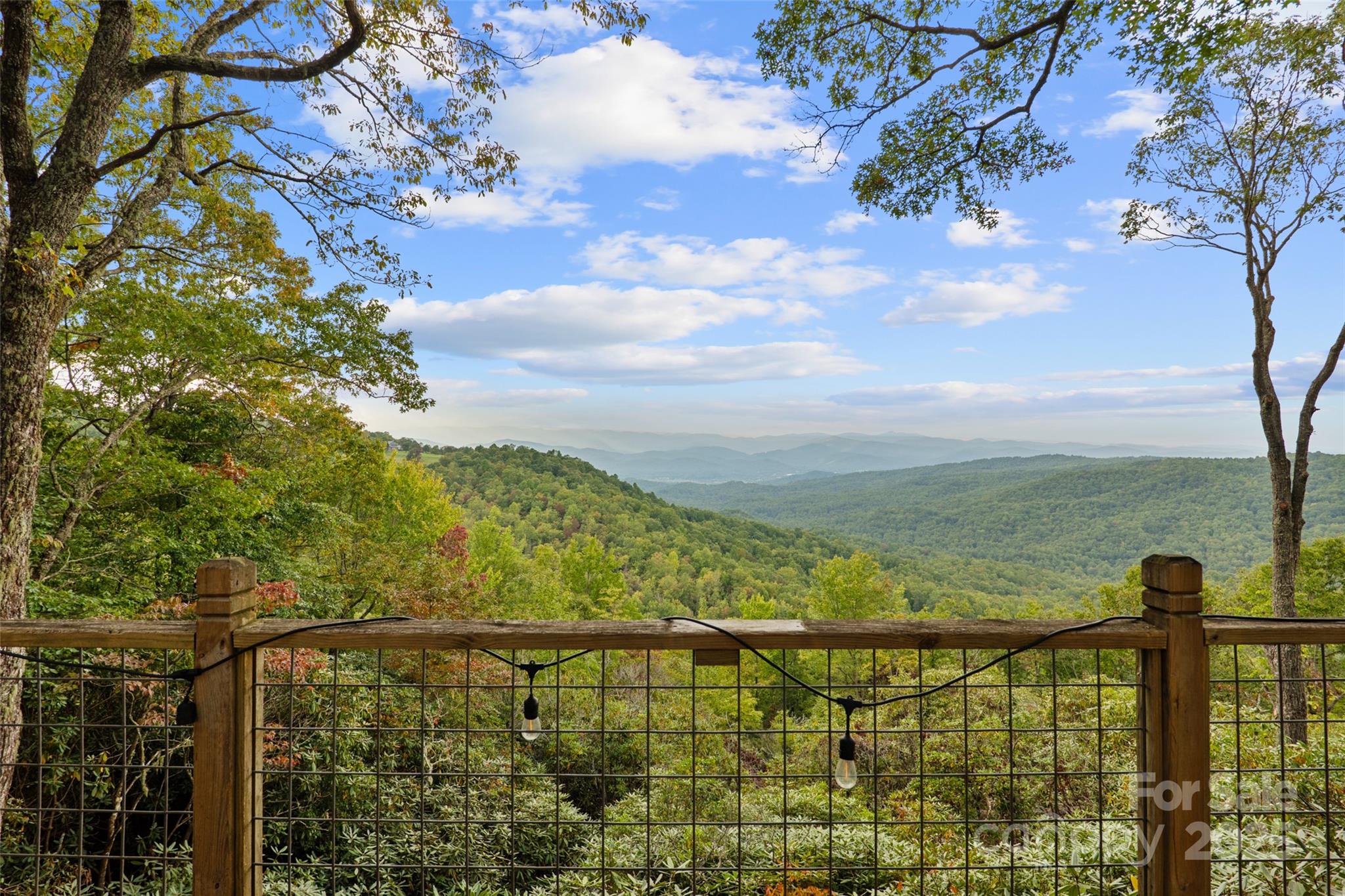 243 Ridgeline Drive Pisgah Forest, NC 28768 - Photo 26 of 48