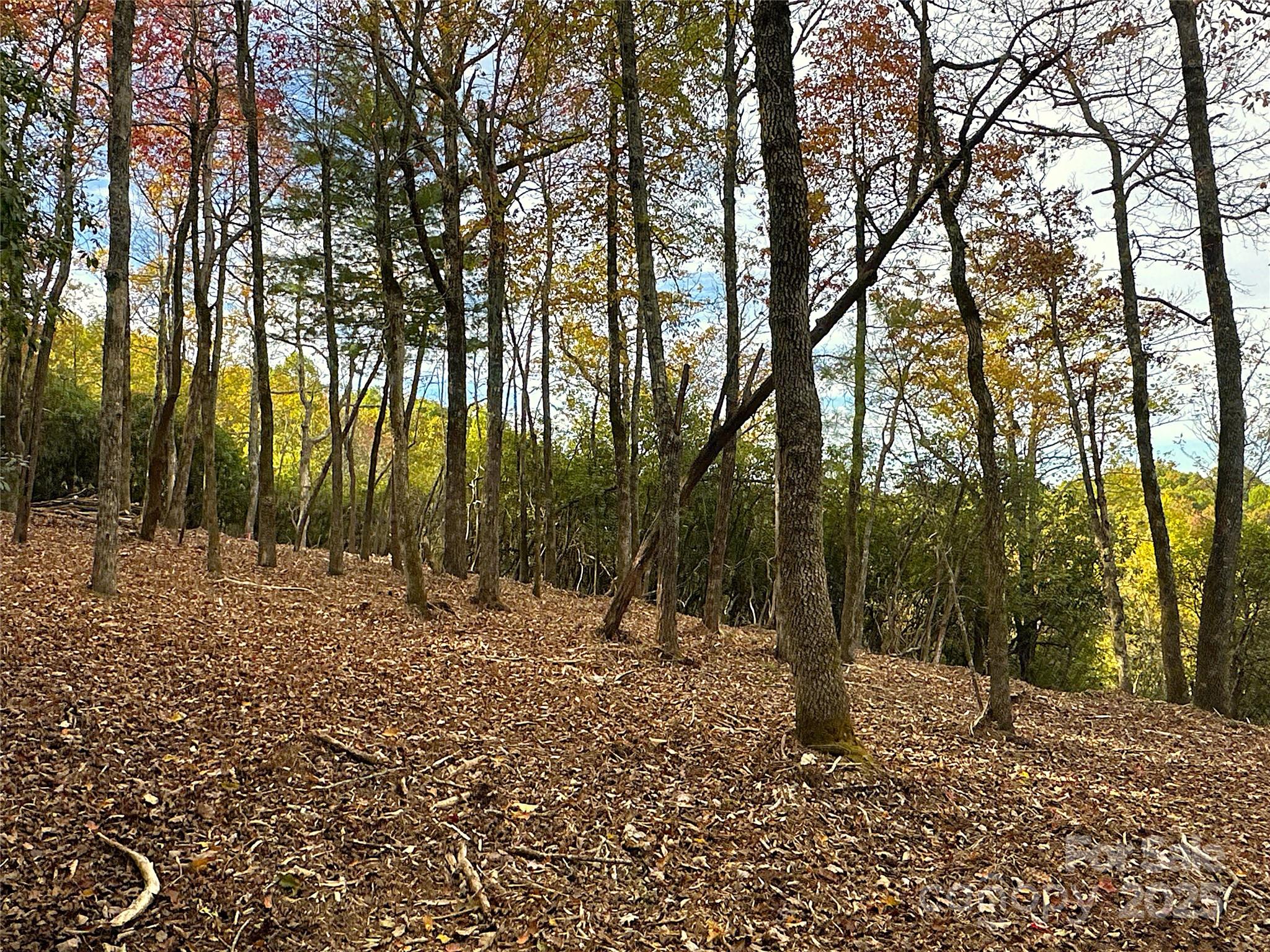 243 Ridgeline Drive Pisgah Forest, NC 28768 - Photo 30 of 48