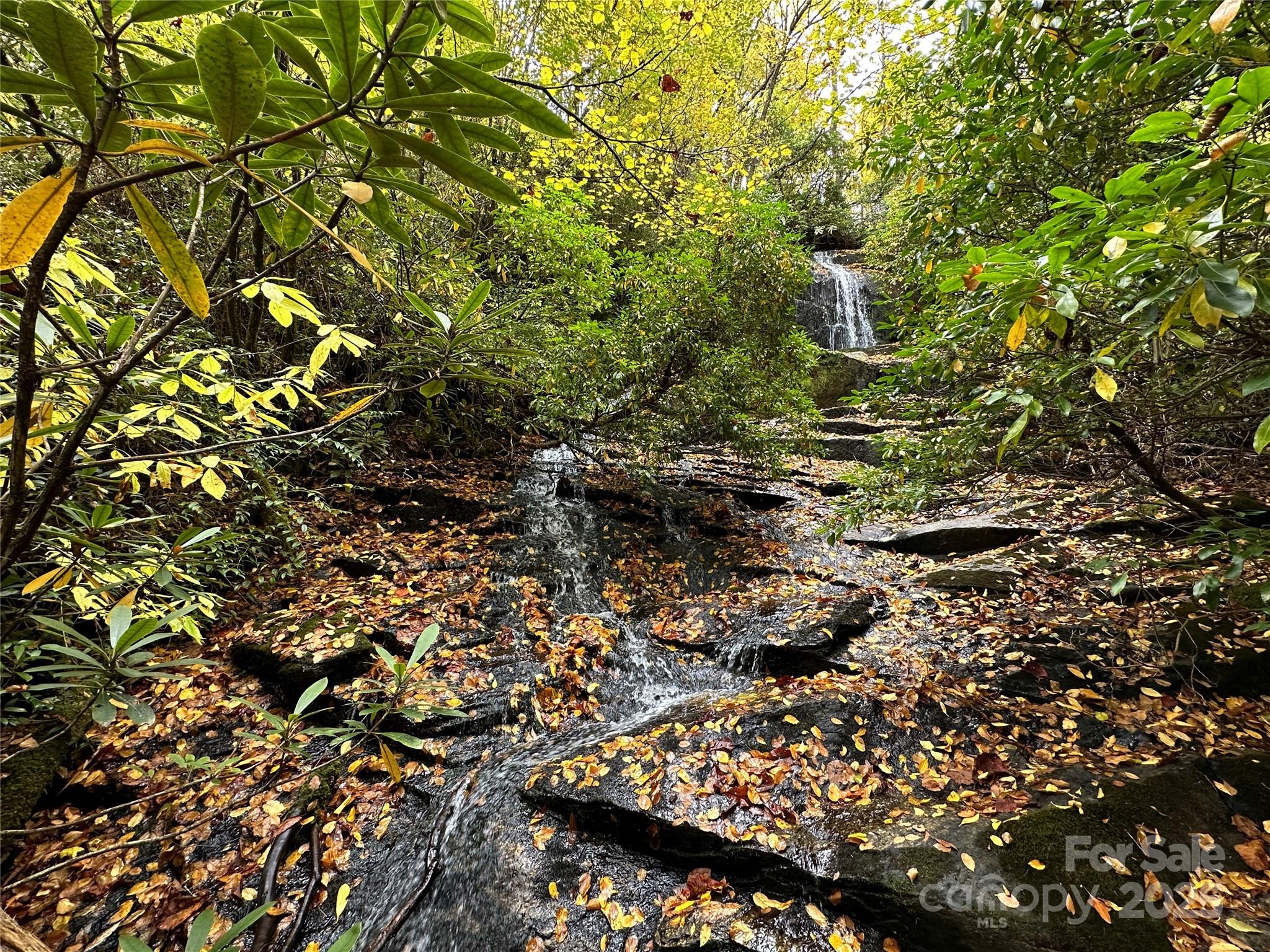 243 Ridgeline Drive Pisgah Forest, NC 28768 - Photo 3 of 48