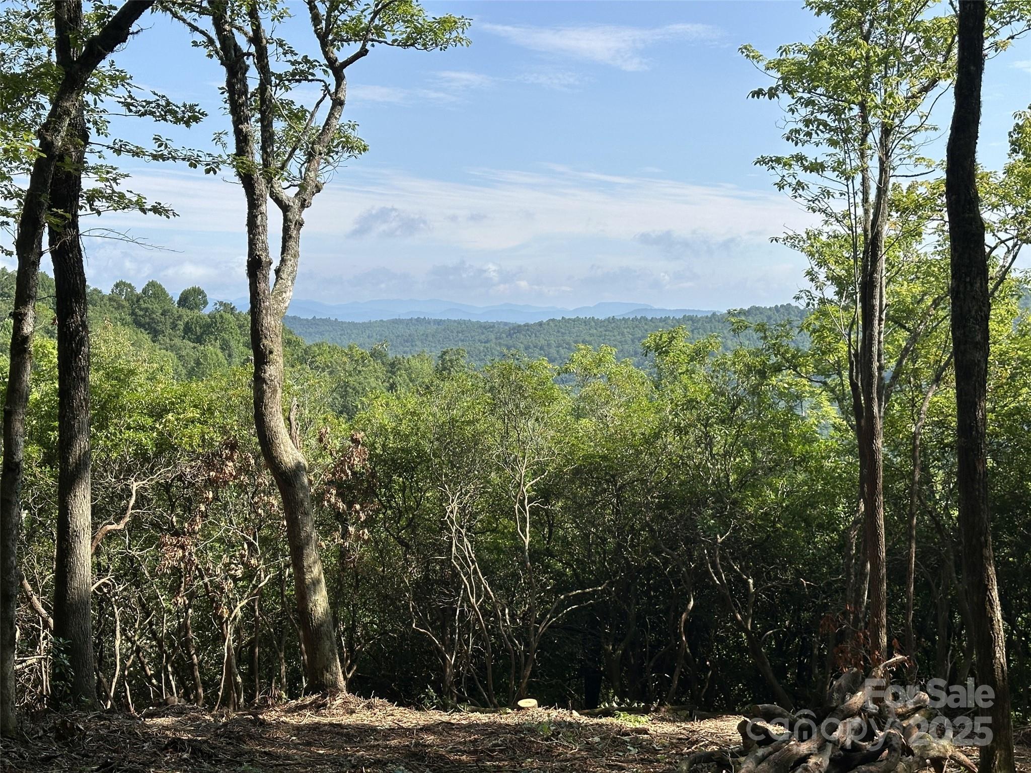 243 Ridgeline Drive Pisgah Forest, NC 28768 - Photo 31 of 48