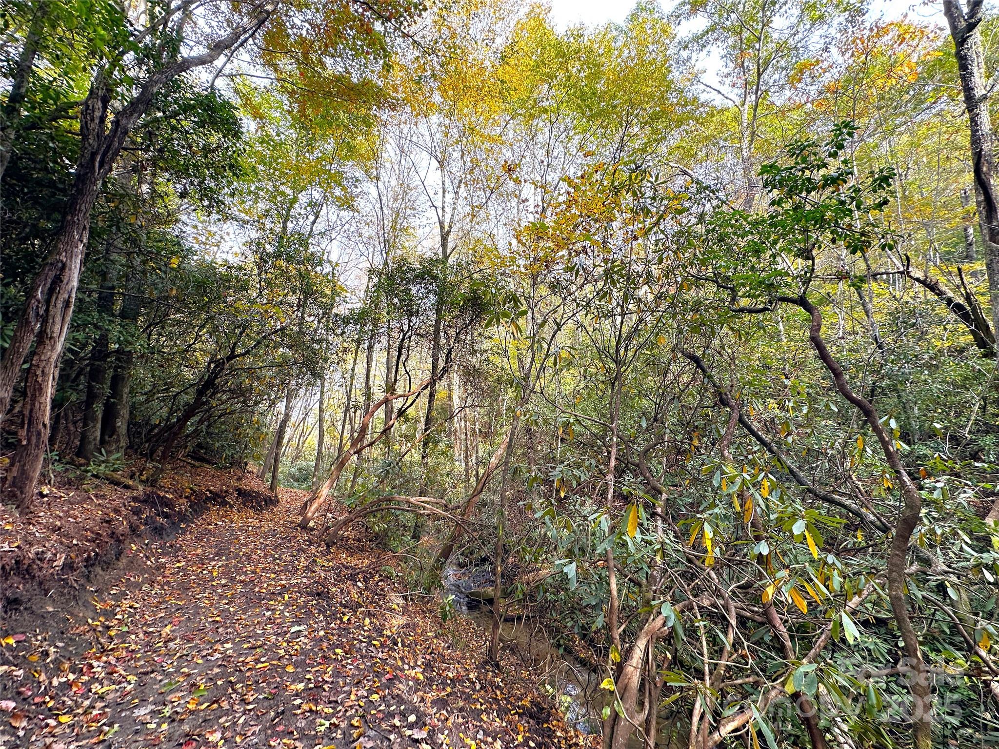 243 Ridgeline Drive Pisgah Forest, NC 28768 - Photo 36 of 48