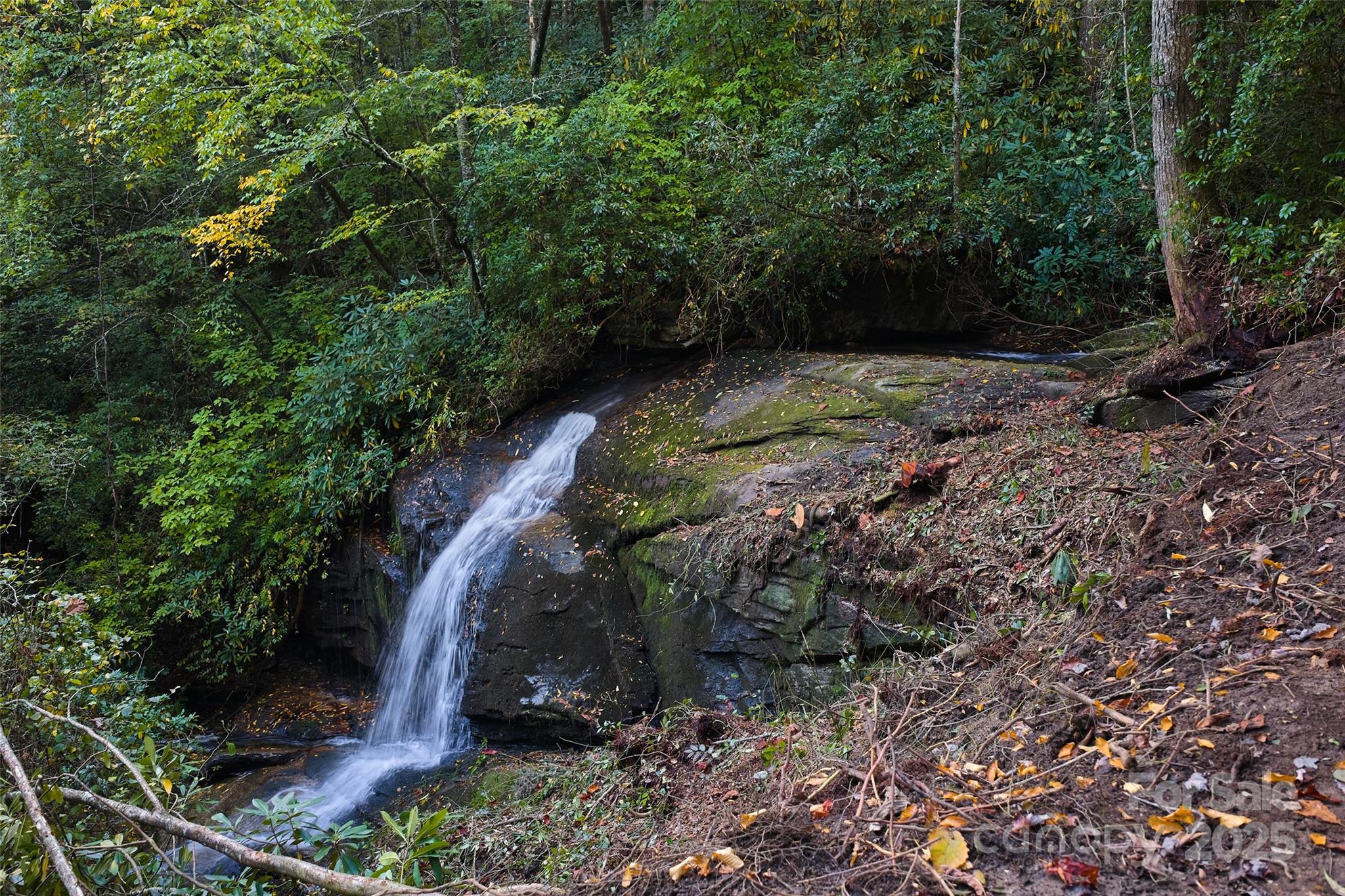 243 Ridgeline Drive Pisgah Forest, NC 28768 - Photo 38 of 48