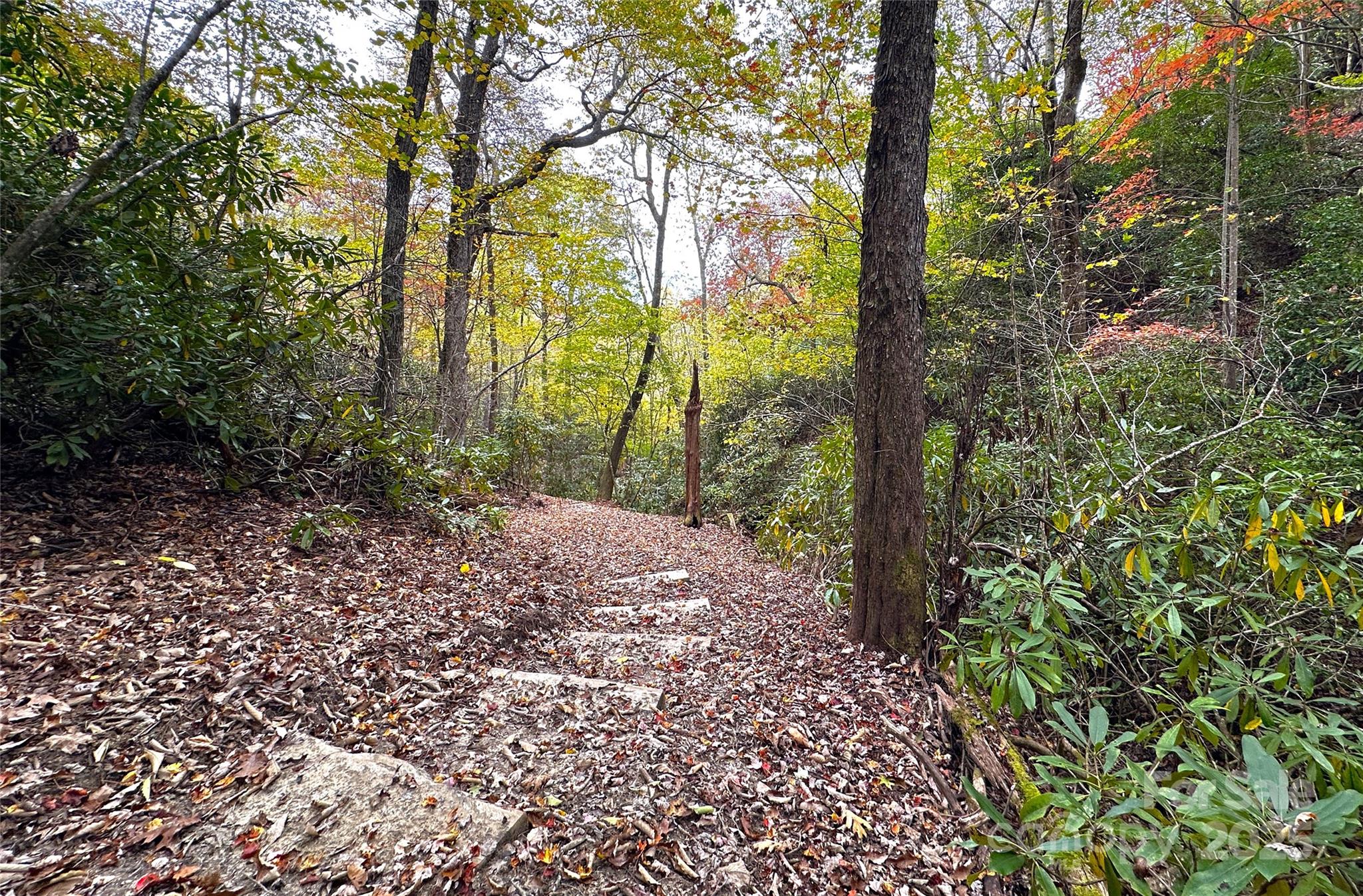 243 Ridgeline Drive Pisgah Forest, NC 28768 - Photo 39 of 48