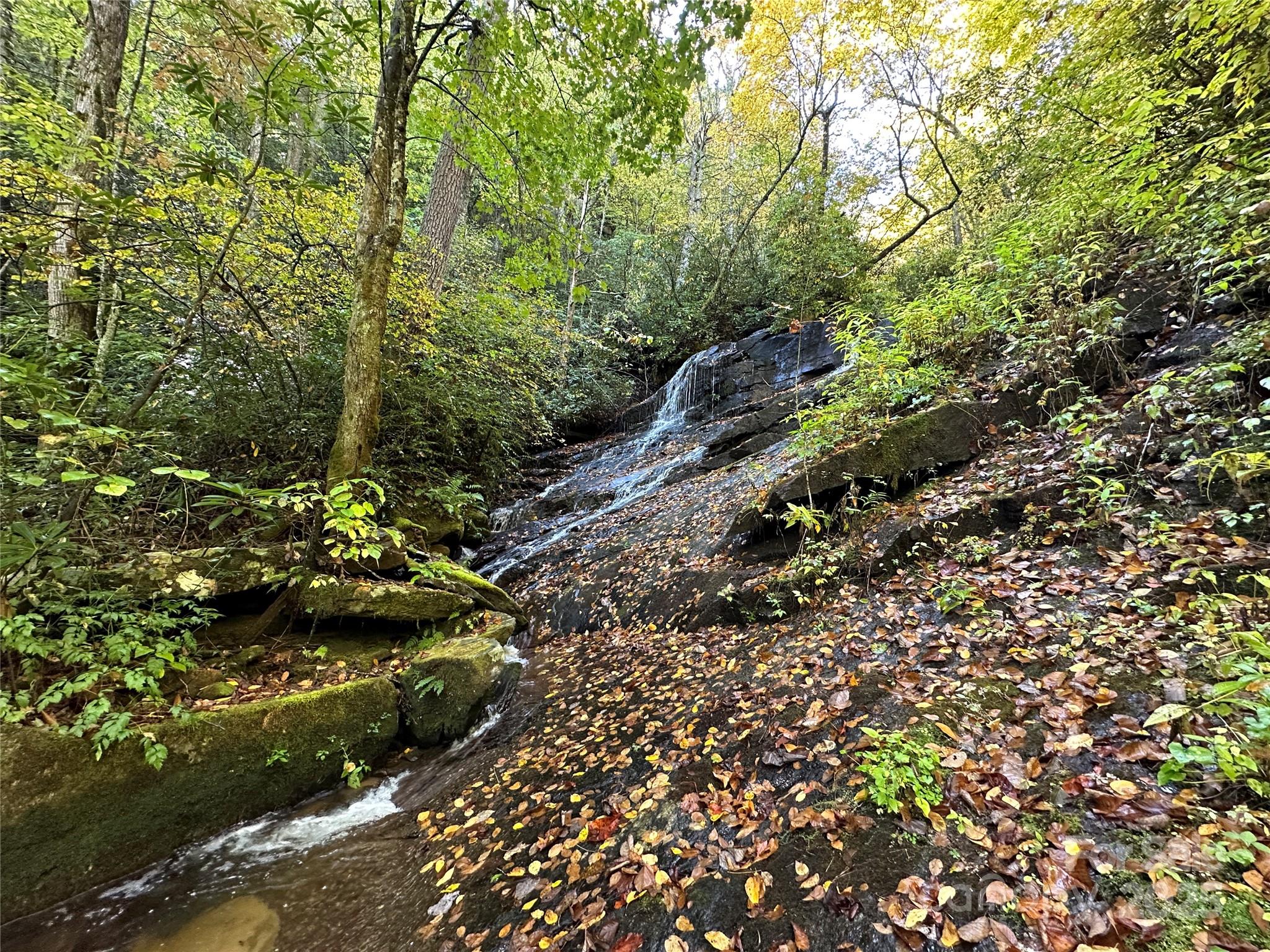 243 Ridgeline Drive Pisgah Forest, NC 28768 - Photo 40 of 48