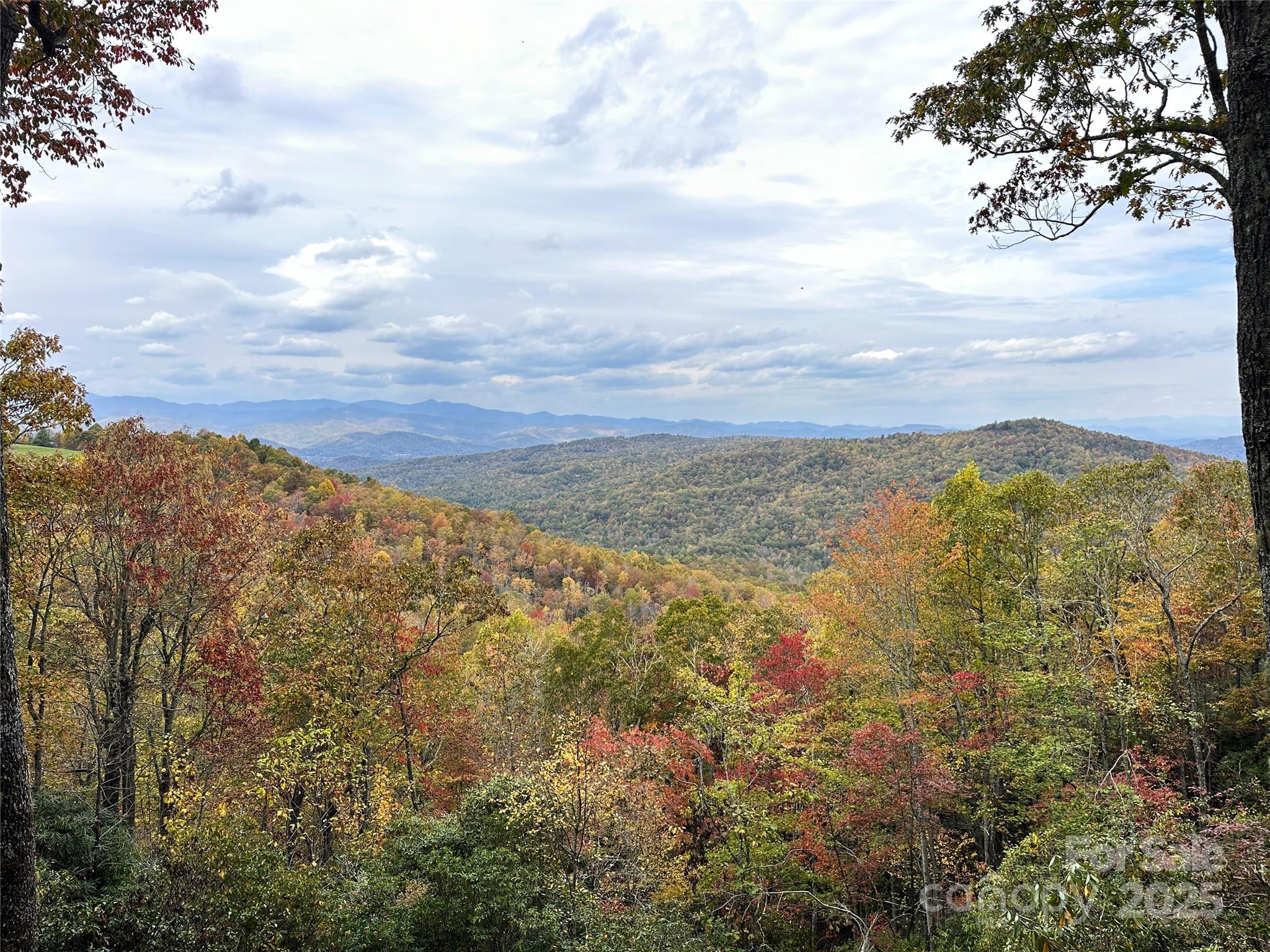 243 Ridgeline Drive Pisgah Forest, NC 28768 - Photo 4 of 48