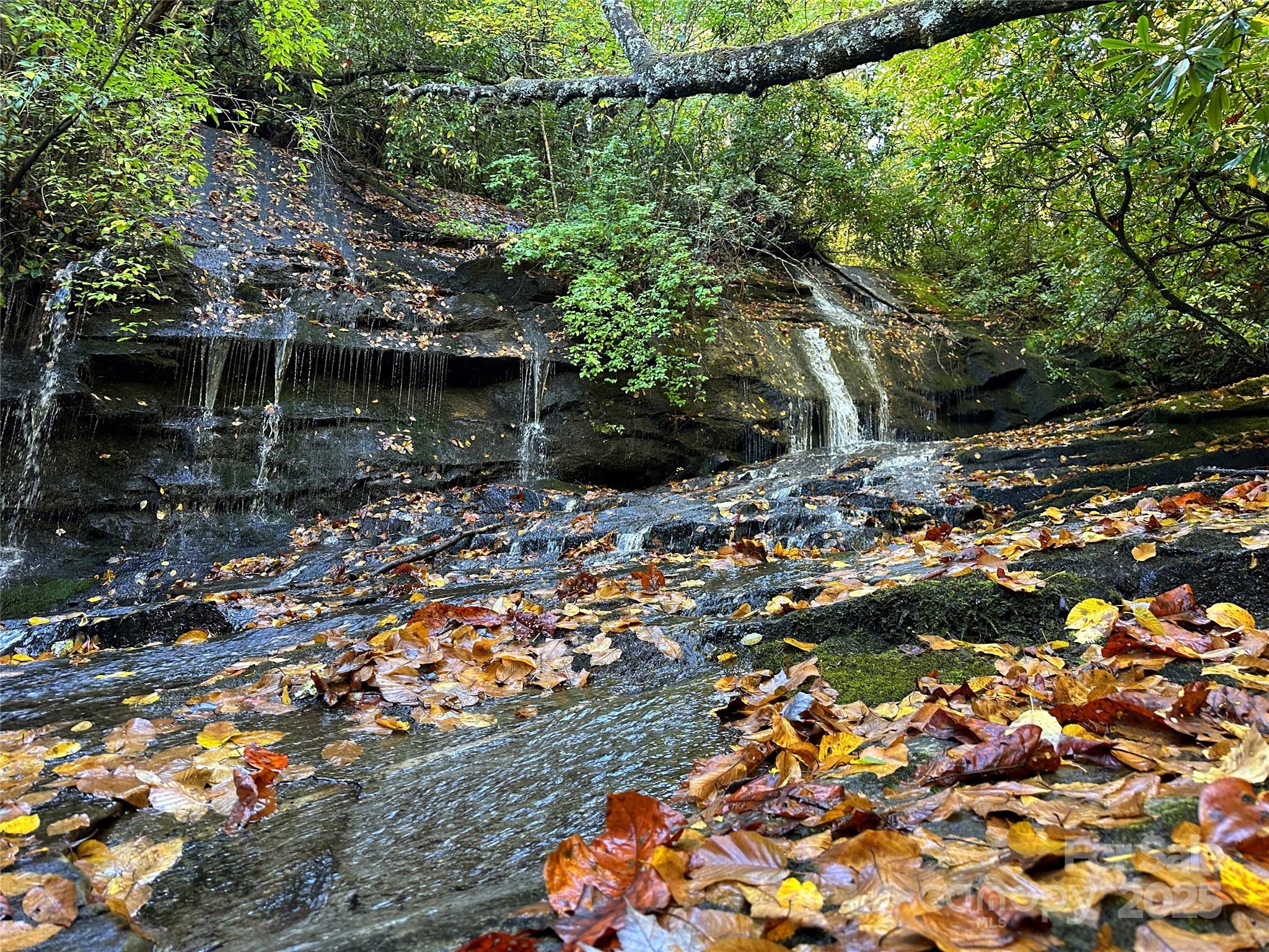 243 Ridgeline Drive Pisgah Forest, NC 28768 - Photo 41 of 48