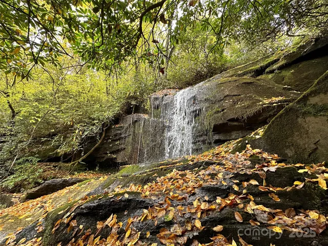 a view of a city with lush green forest