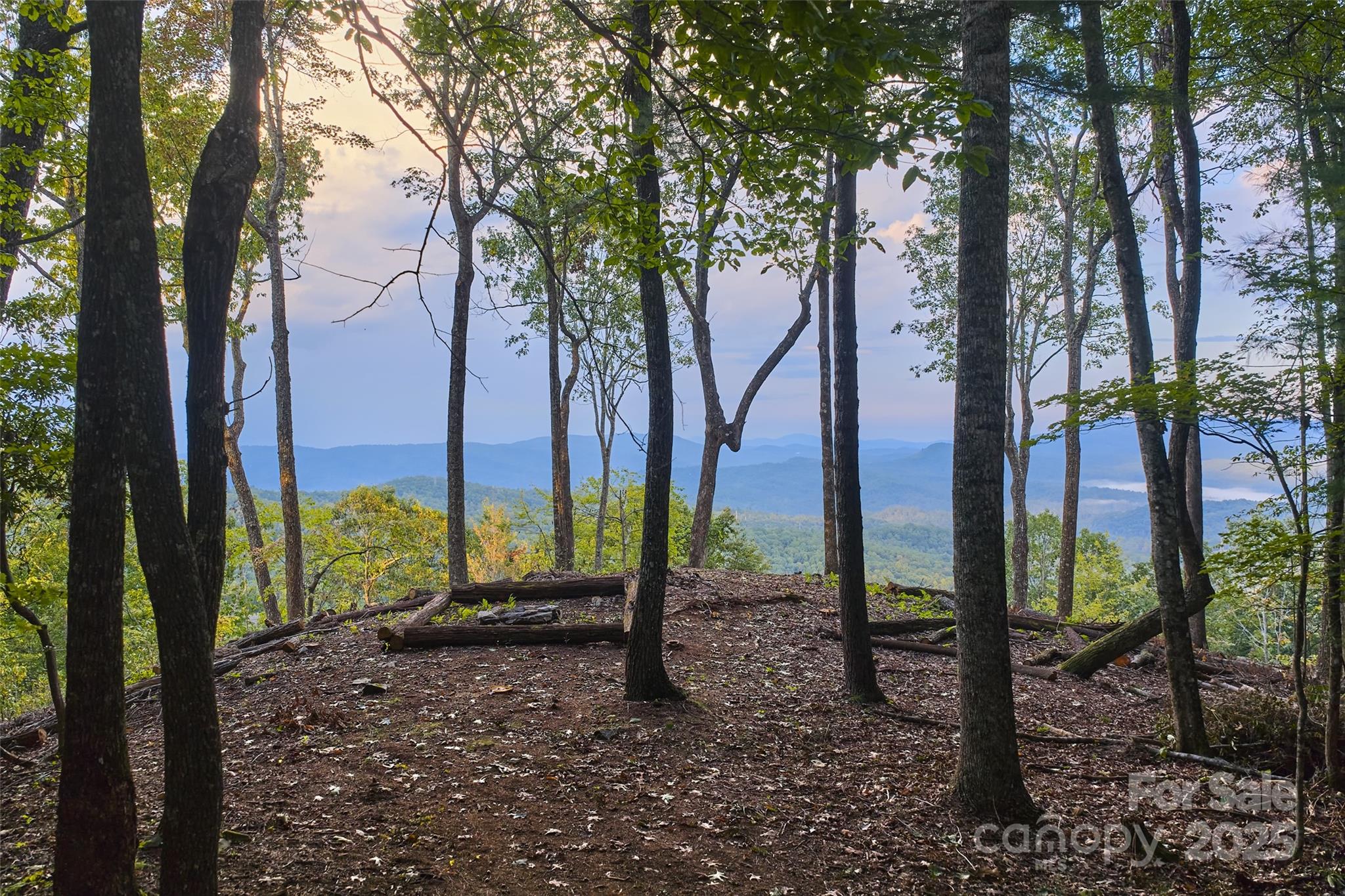 243 Ridgeline Drive Pisgah Forest, NC 28768 - Photo 44 of 48