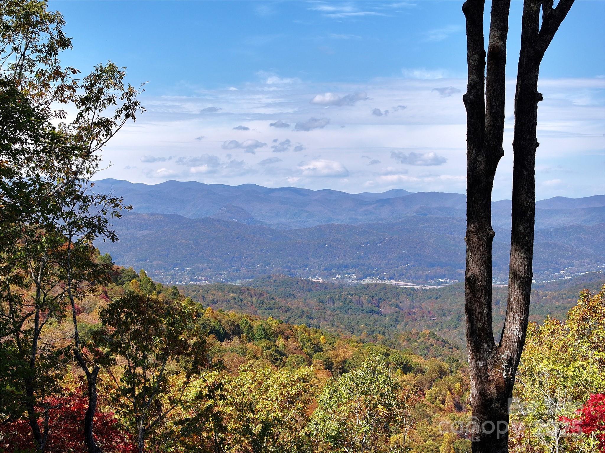 243 Ridgeline Drive Pisgah Forest, NC 28768 - Photo 46 of 48