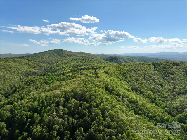 $3,750,000 | 243 Ridgeline Drive, Pisgah Forest, NC 28768