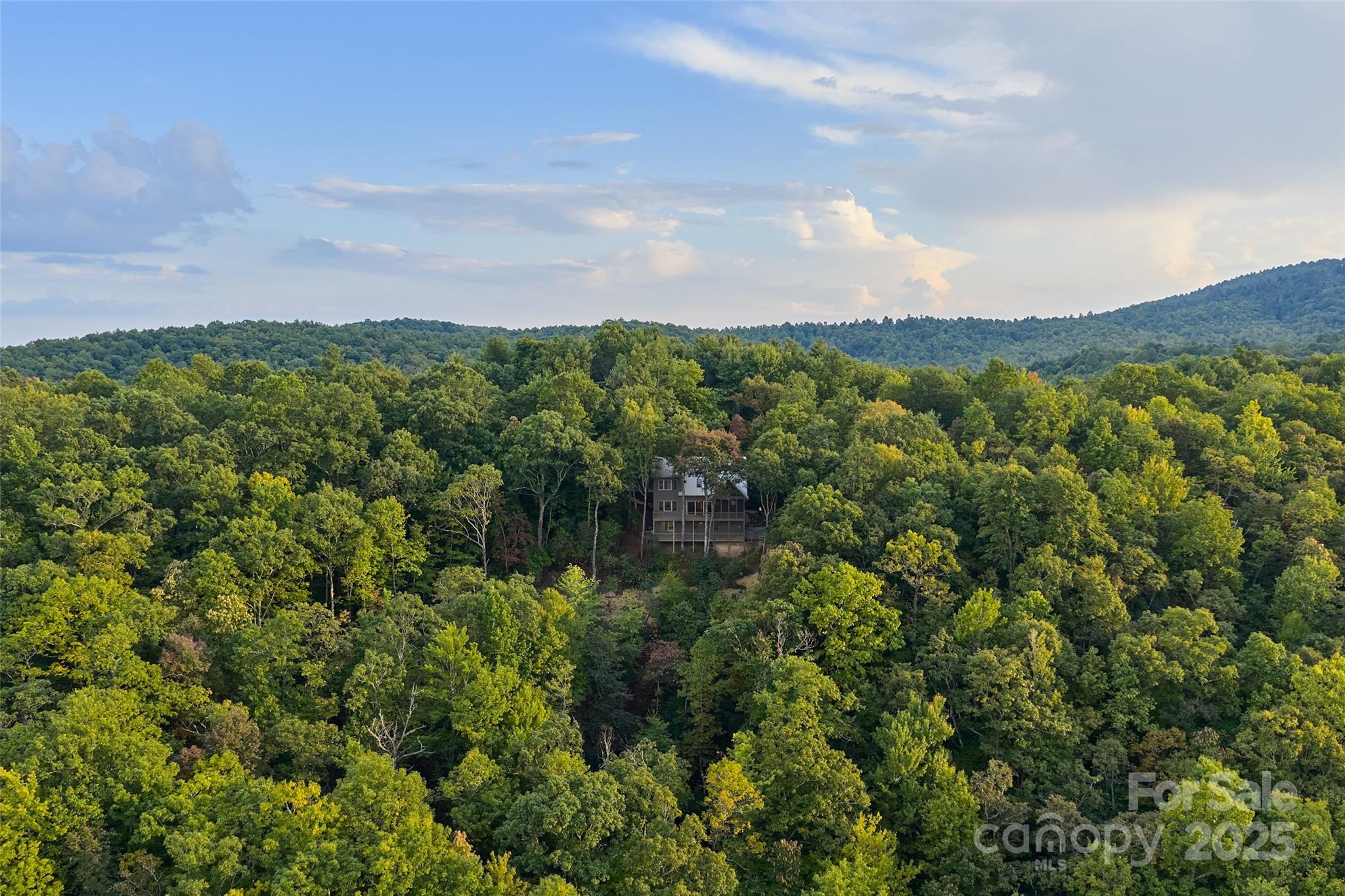 243 Ridgeline Drive Pisgah Forest, NC 28768 - Photo 9 of 48
