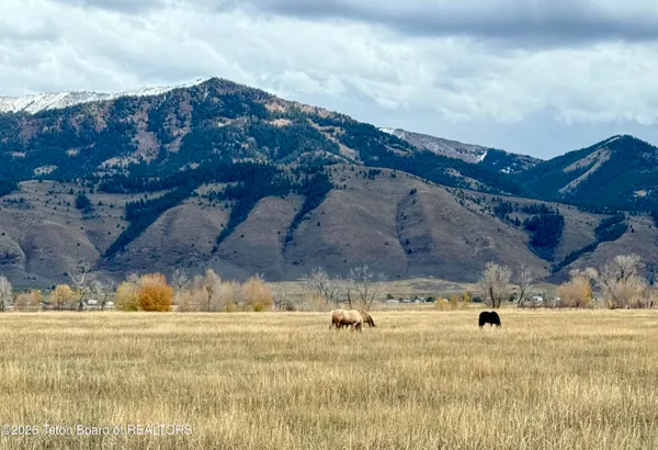$390,000 | Lot 2 Wrangler Road, Afton, WY 83110