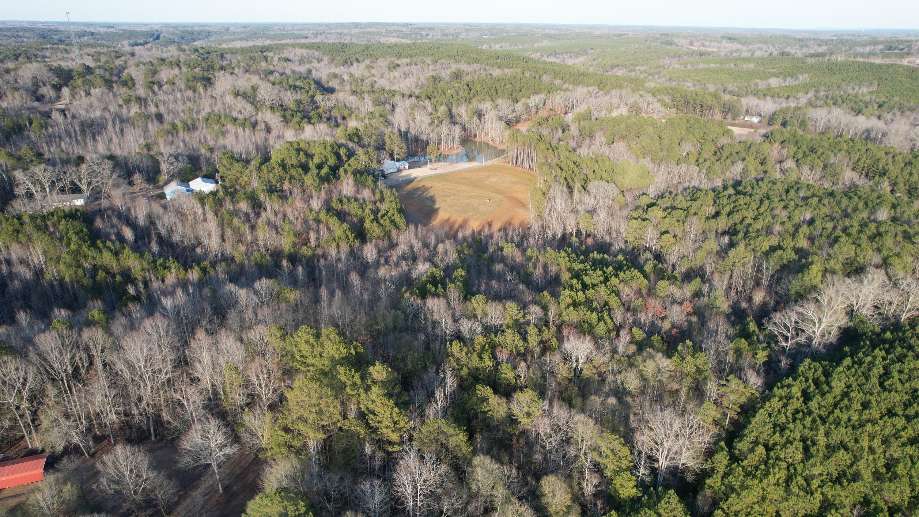 Clayton Road Jasper, AL 35504 - Photo 3 of 5 image1