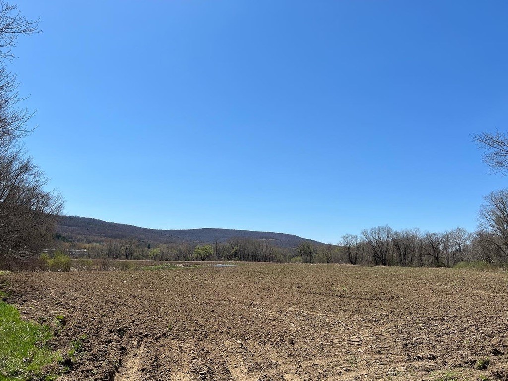 23 State Street Oneonta, NY 13820 - Photo 16 of 23