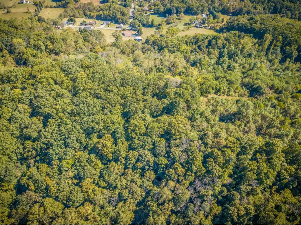 599 Emory Church Road Kingsport, TN 37664 - Photo 42 of 52 Photo 35