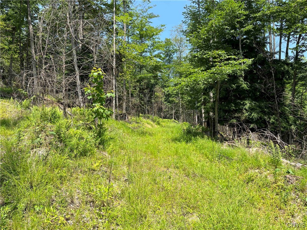 0 Gleason Hollow Road Belfast, NY 14711 - Photo 11 of 27 Gallery Image 11
