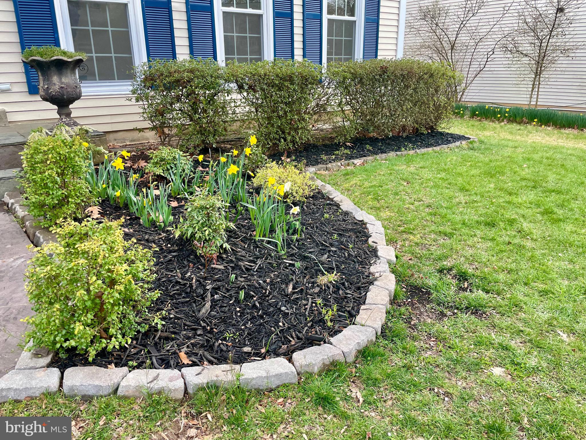 325 Prelude Drive Silver Spring, MD 20901 - Photo 6 of 48